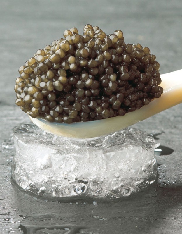 Thomas Buehner Shop – Royal Baerii Caviar