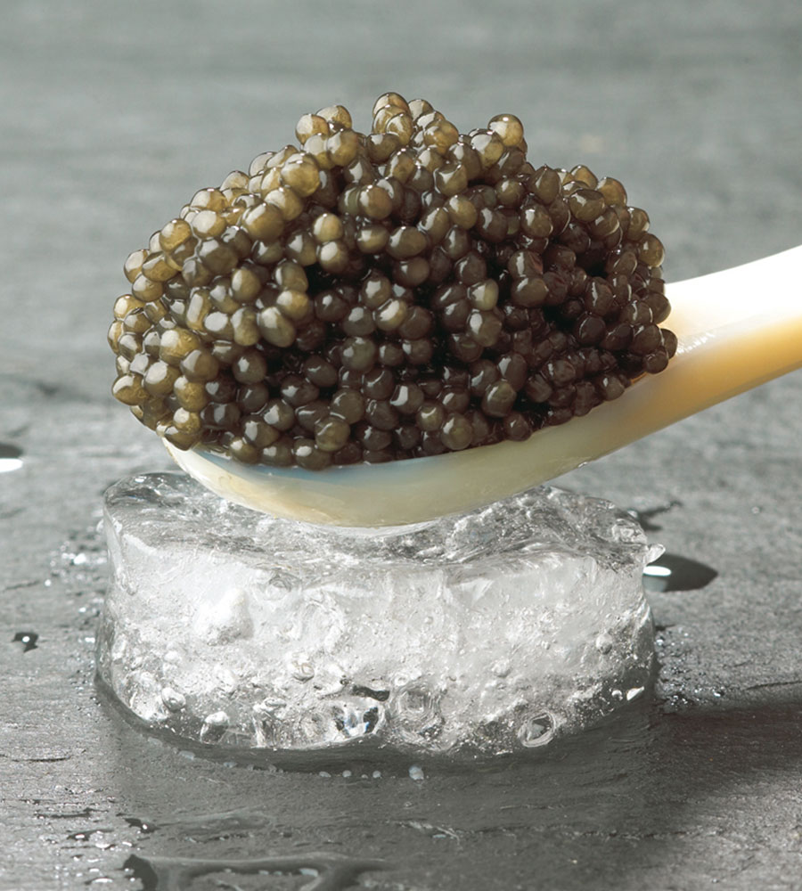 Thomas Buehner Shop – Royal Baerii Caviar