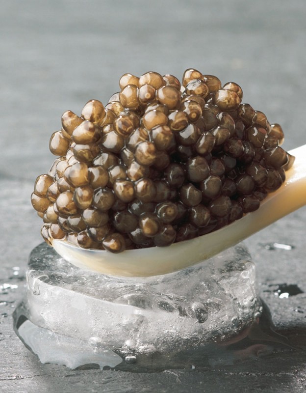 Thomas Buehner Shop – Fine Beluga Caviar