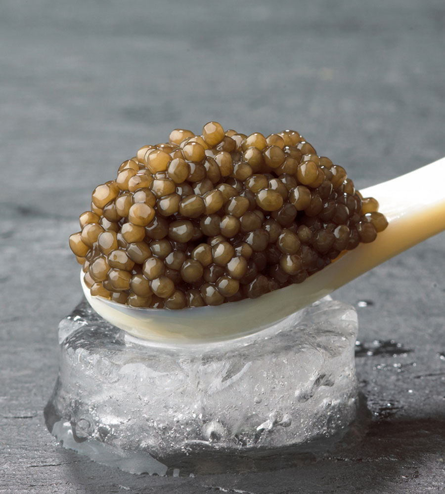 Thomas Buehner Shop – Imperial Selection Caviar