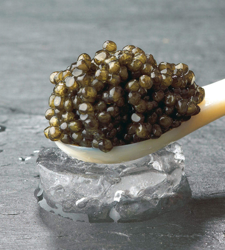 Thomas Buehner Shop – Ossetra Selection Caviar