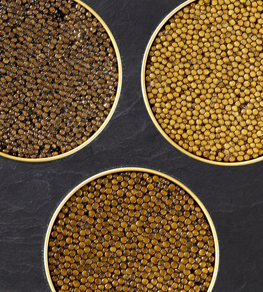Thomas Bühner Shop – Imperial Caviar Genießerset 3 Sorten