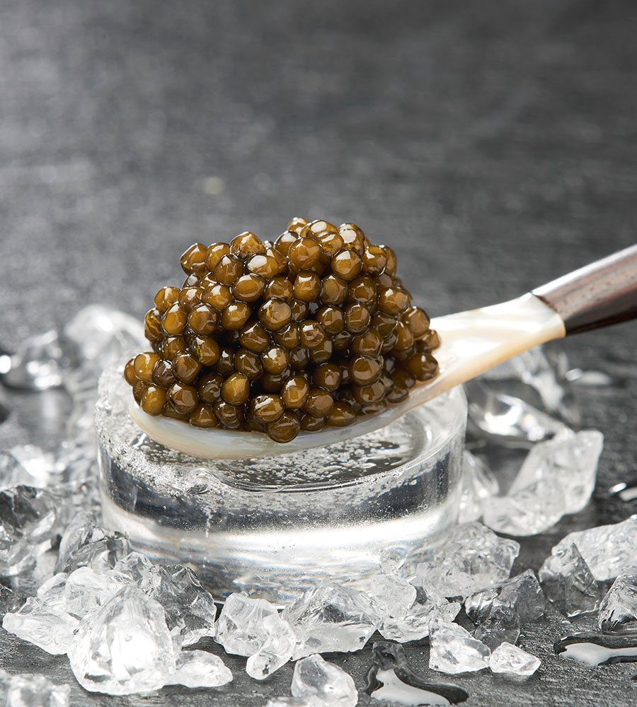 Thomas Bühner Shop – Imperial Caviar Genießerset Auslese